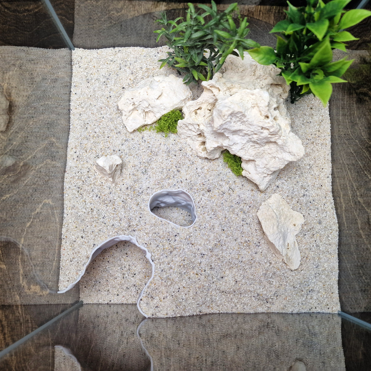 Dune Tide Aquarium Tunnel & Aquascape Hardscape – 3D-Printed Fish Hide