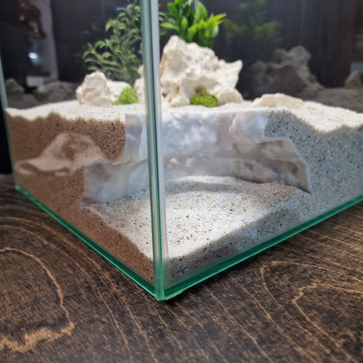 Dune Tide Aquarium Tunnel & Aquascape Hardscape – 3D-Printed Fish Hide