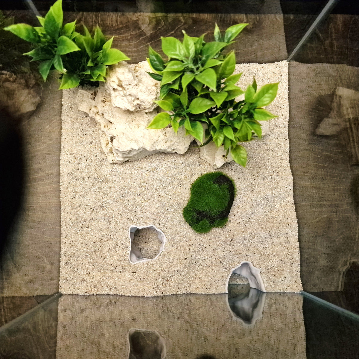 Shore Sand Shrimp Shelter & Fish Hide – 3D-Printed Aquarium Hardscape