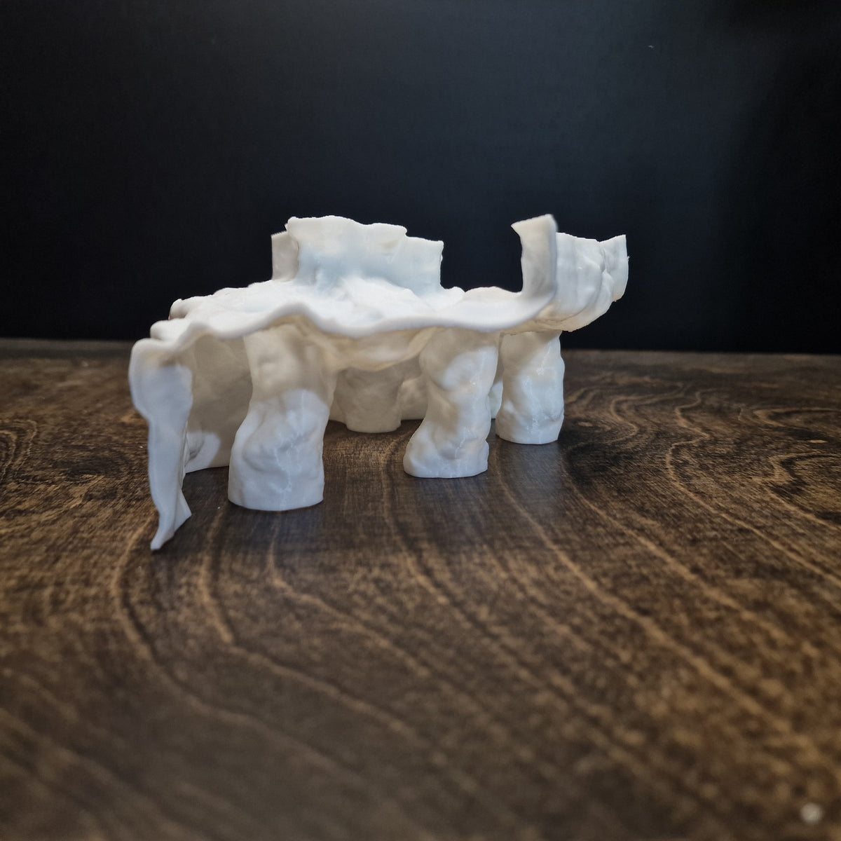 Tide Mesa Pleco Cave & Aquarium Tunnel – 3D-Printed Fish Hide