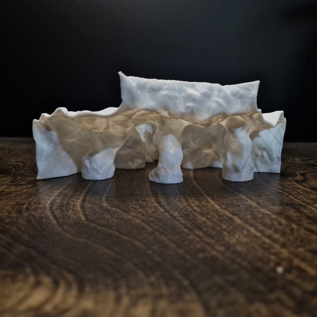 Tide Mesa Pleco Cave & Aquarium Tunnel – 3D-Printed Fish Hide