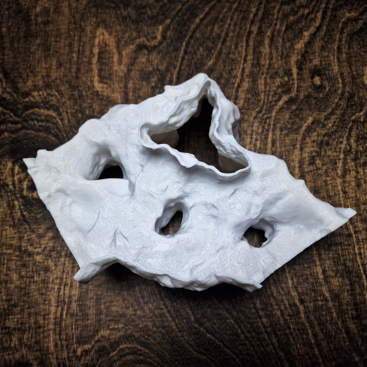 Tide Mesa Pleco Cave & Aquarium Tunnel – 3D-Printed Fish Hide