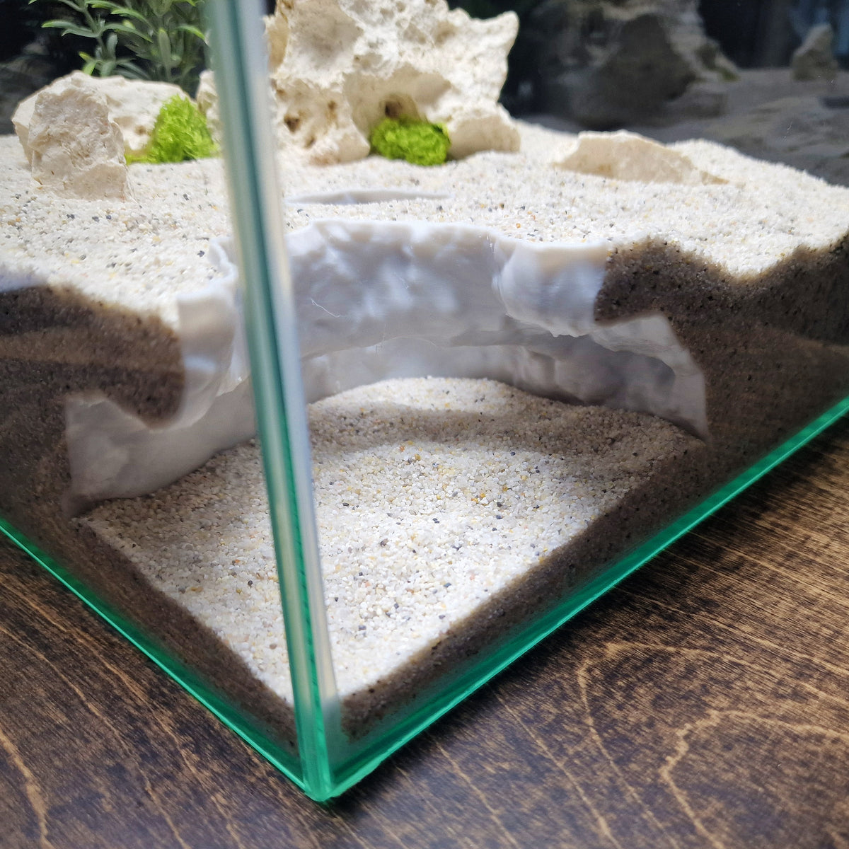 Dune Tide Aquarium Tunnel & Aquascape Hardscape – 3D-Printed Fish Hide