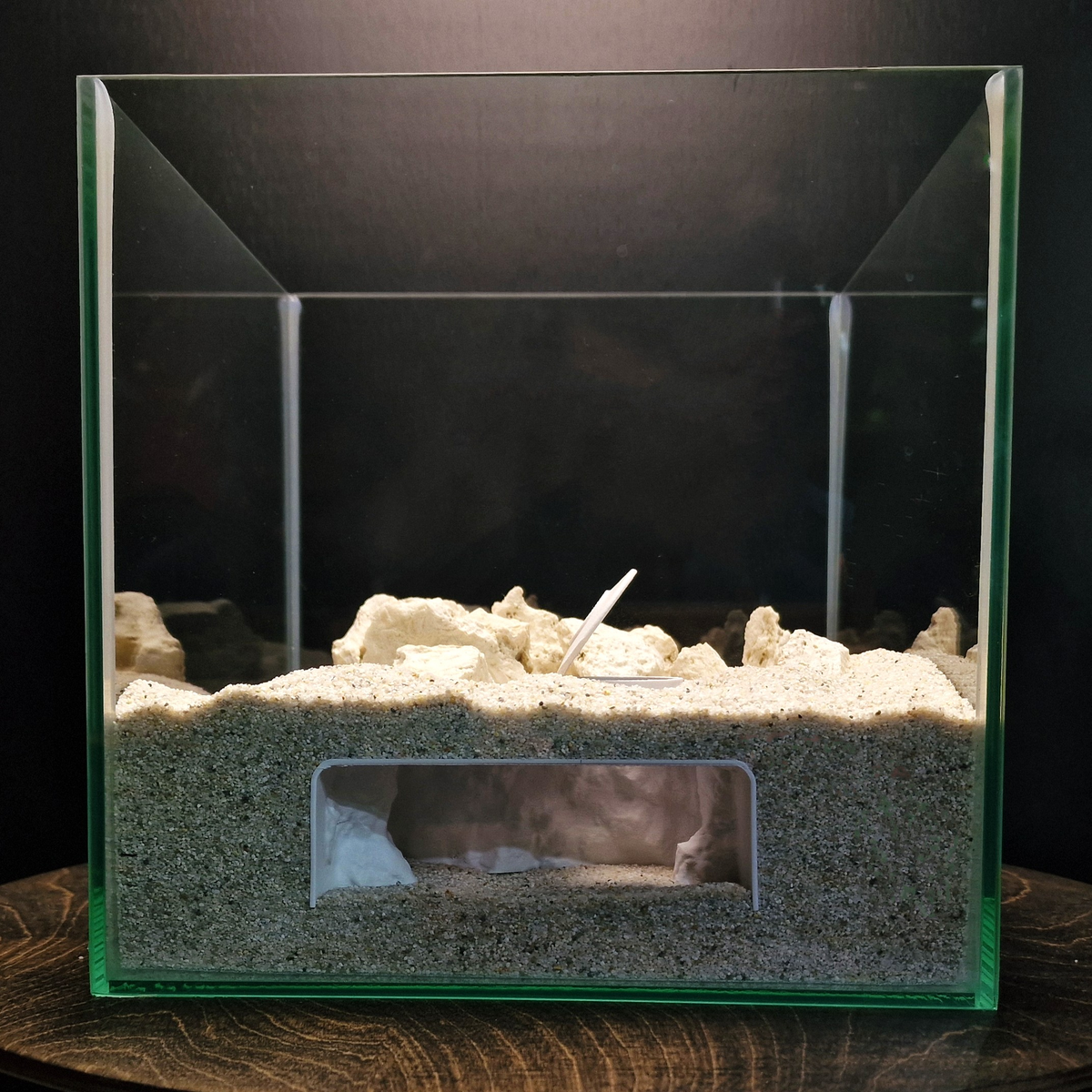 Bunker view 001 1