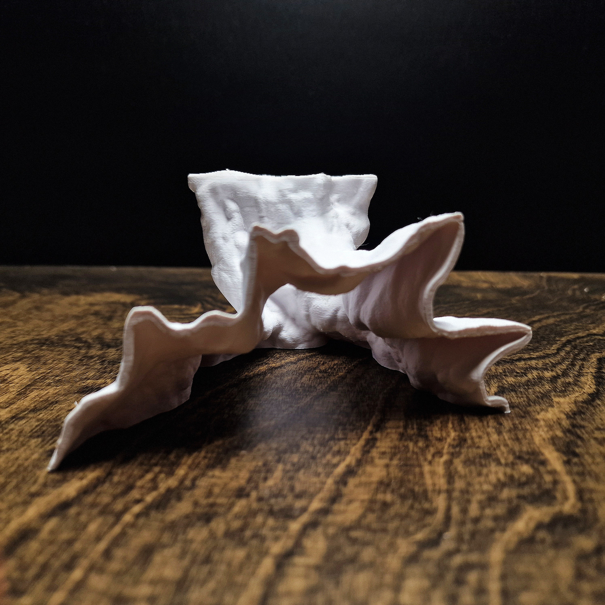 AbyssRoot — source 008 7