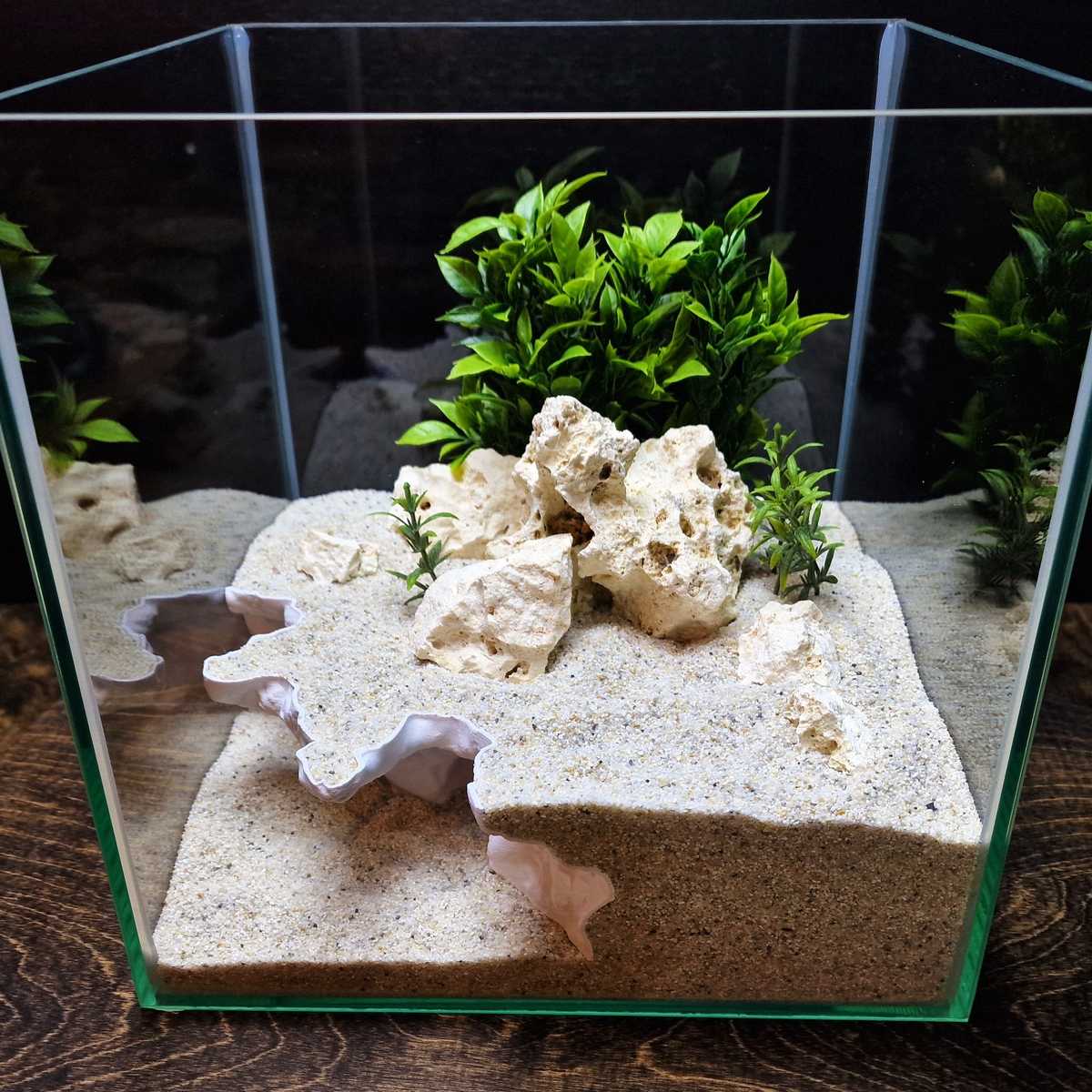 AquaVault Aquarium Cave — source 001 1