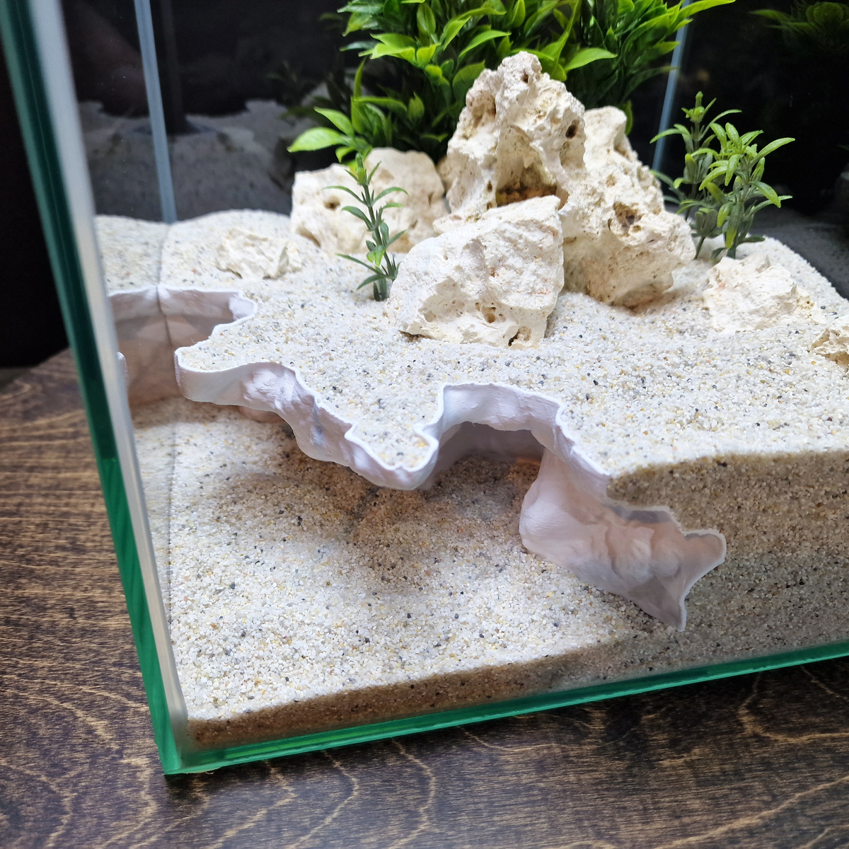 AquaVault Aquarium Cave — source 005 3