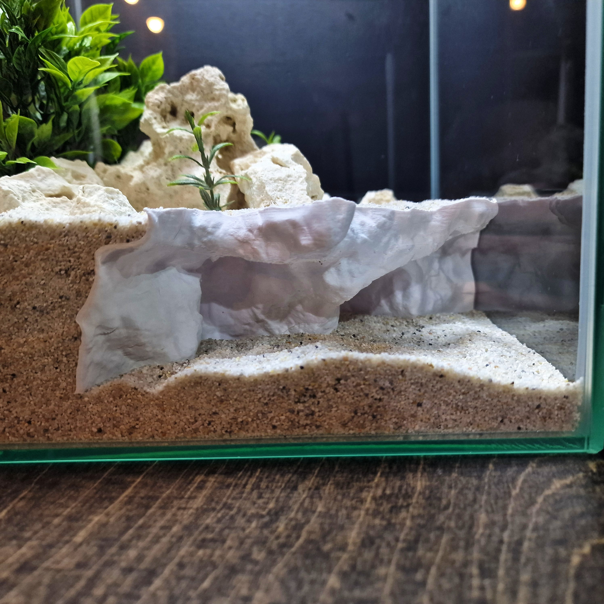 AquaVault Aquarium Cave — source 008 6