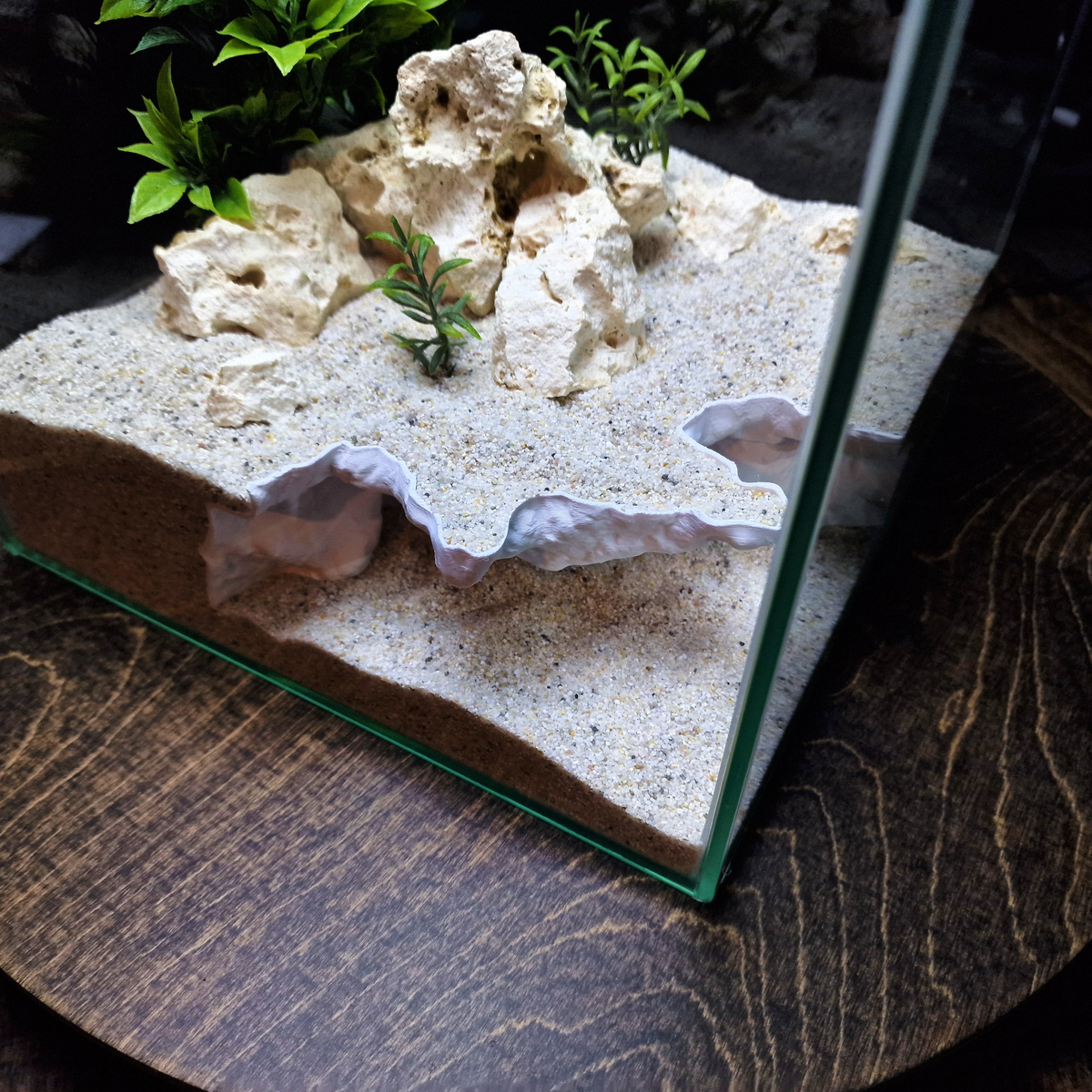 AquaVault Aquarium Cave — source 010 8