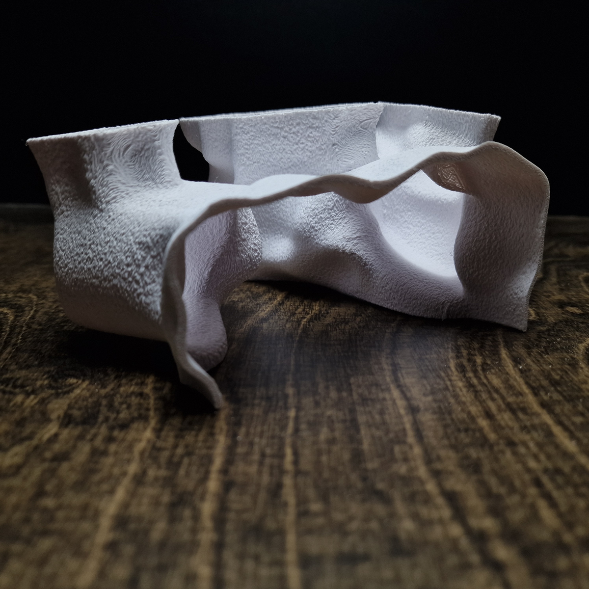 Ocean Cradle printed aquarium cave