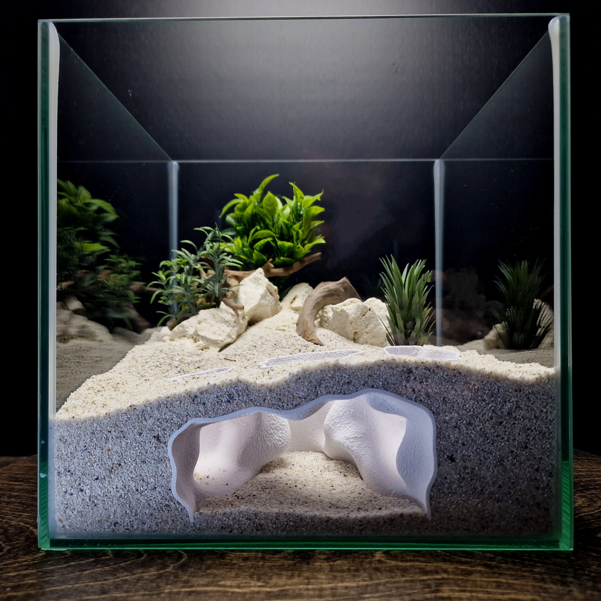 Ocean Cradle view 001 1