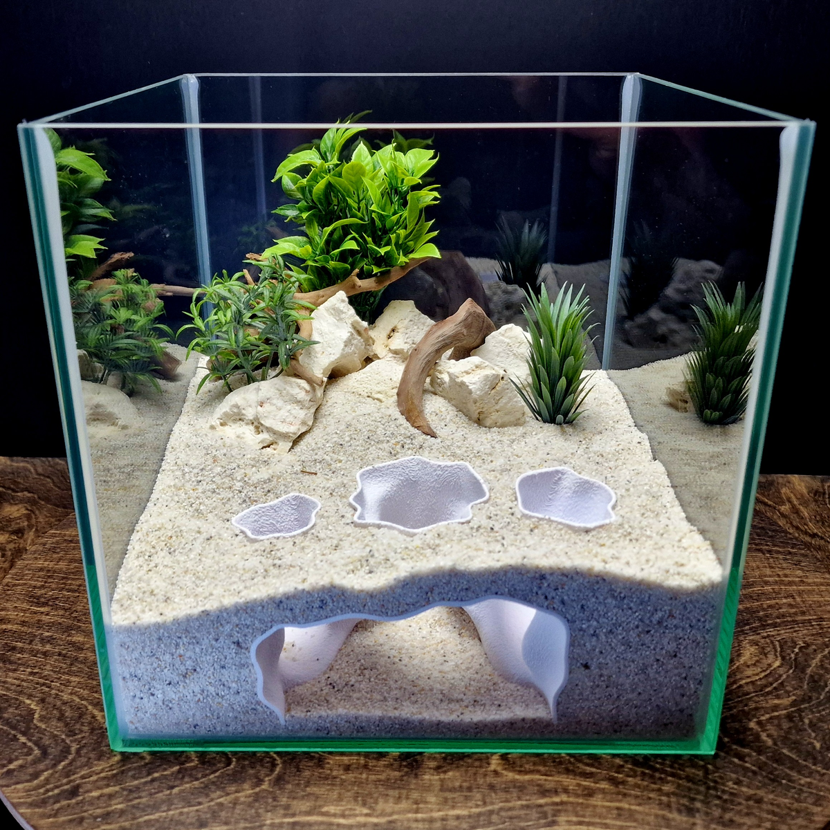 Ocean Cradle view 005 2