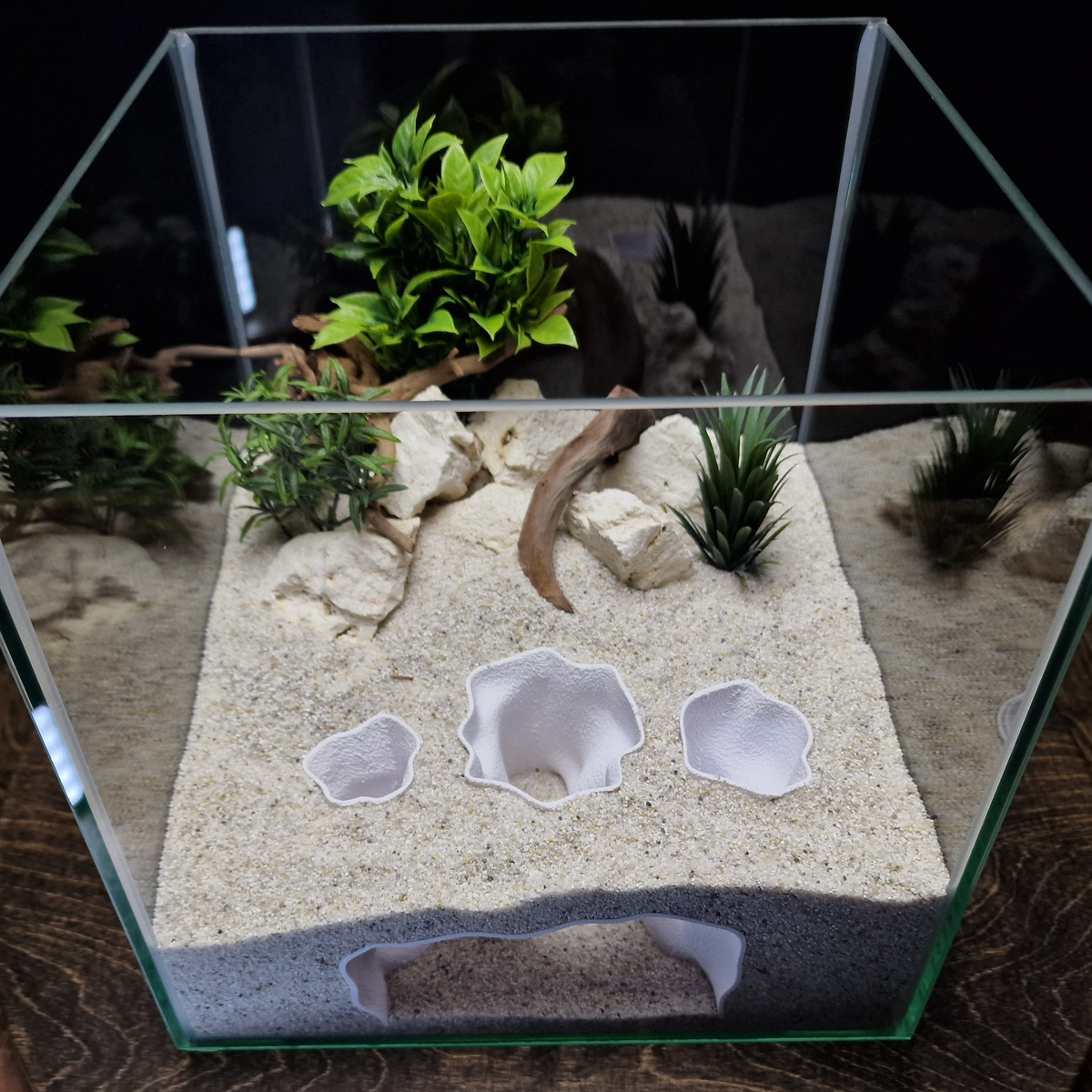 Ocean Cradle view 006 3