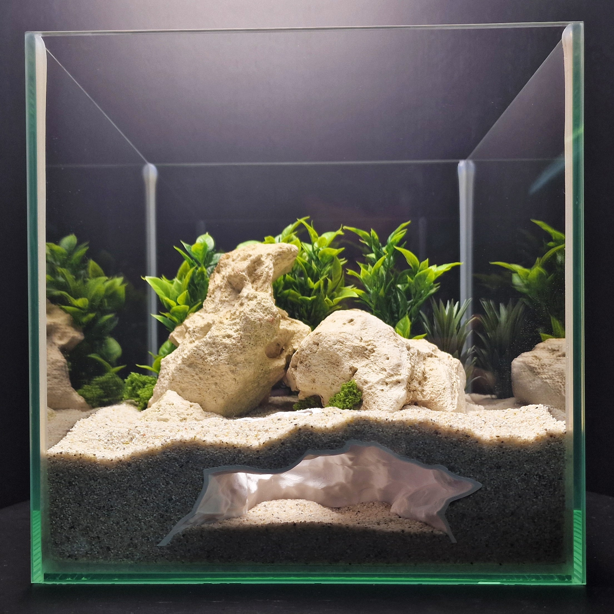Aquaform Den aquarium habitat view 5