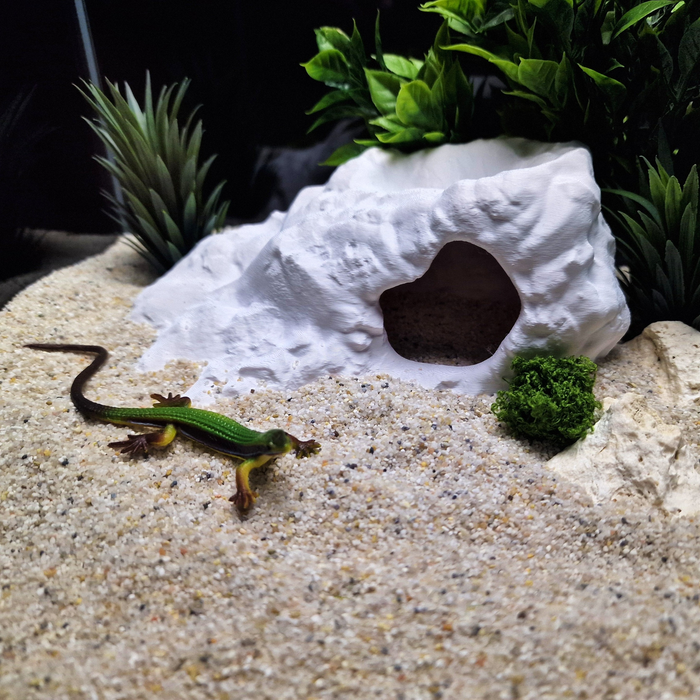 Brackish Den aquarium habitat view 5