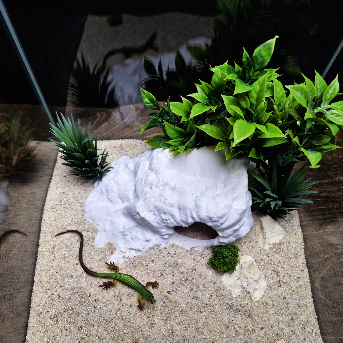 Brackish Den aquarium habitat view 6