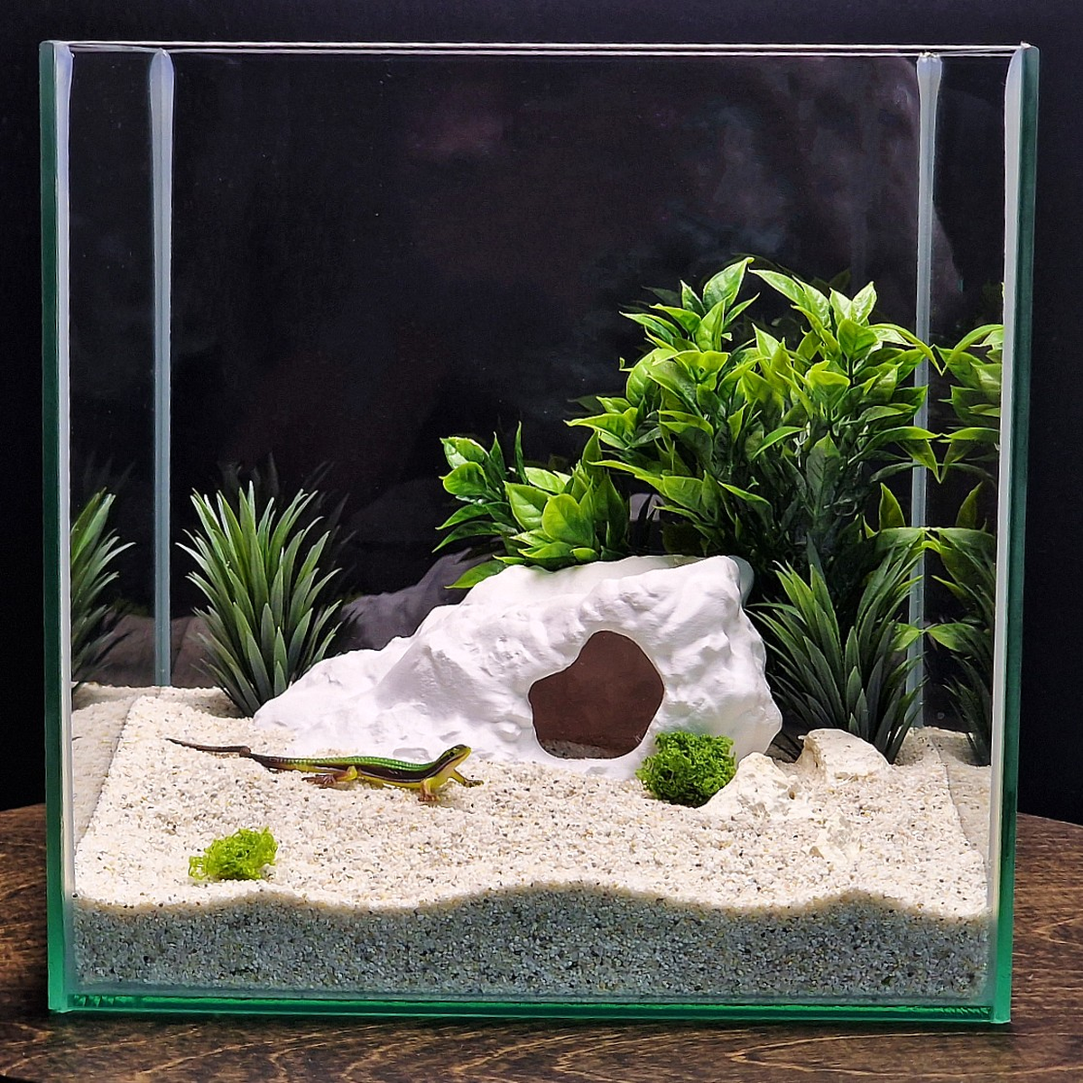 Brackish Den aquarium habitat view 7