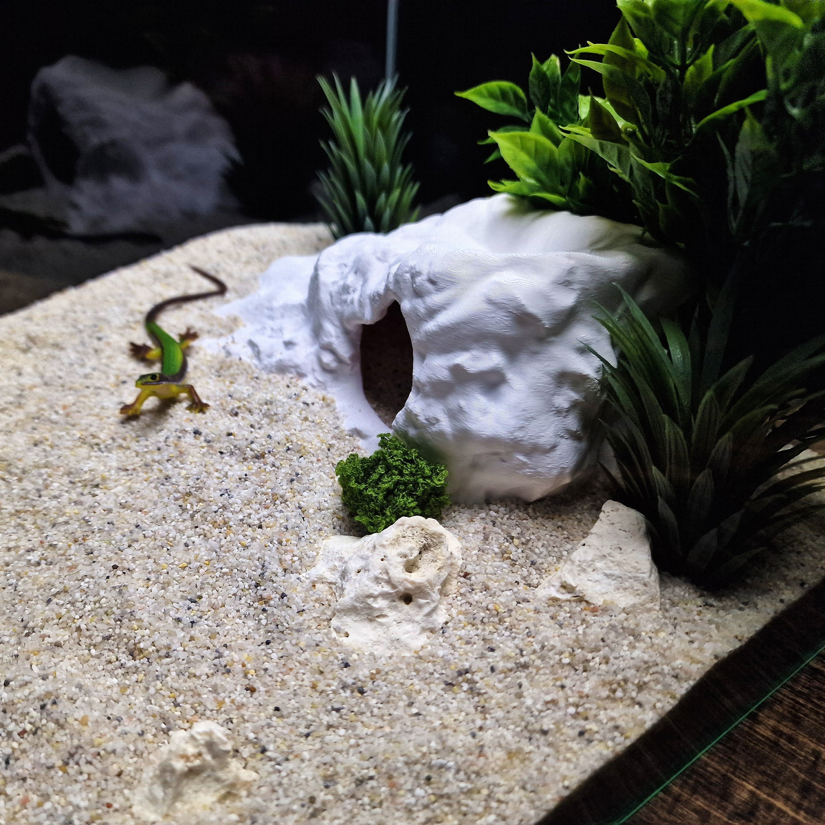Brackish Den aquarium habitat view 9