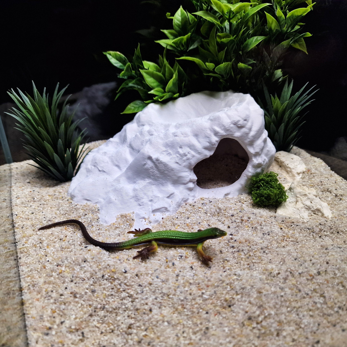 Brackish Den aquarium habitat view 10