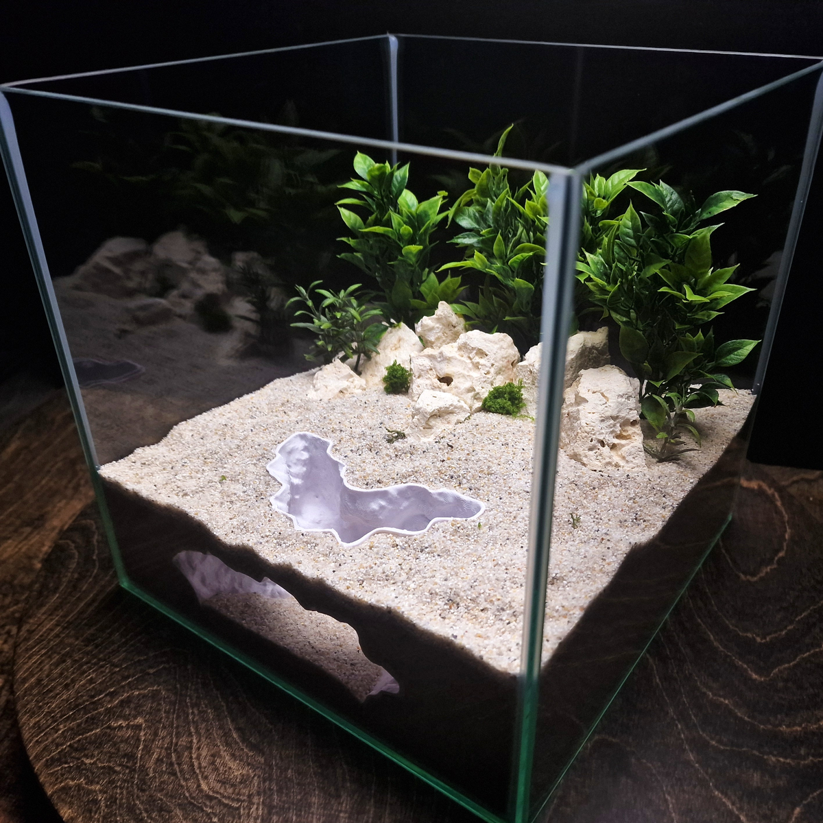 Canyonshade source 009 7