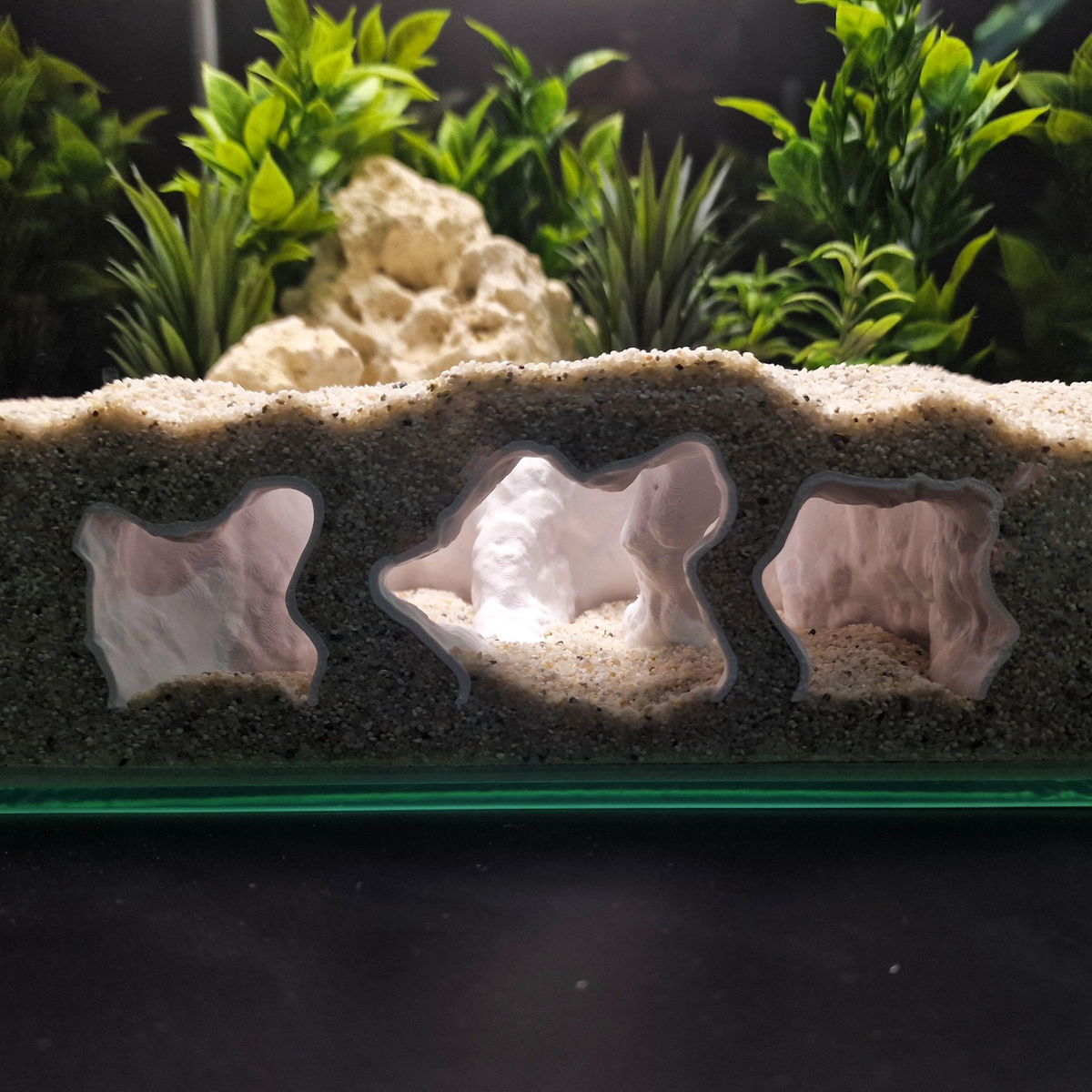 Catacomb Hollow aquarium habitat view 4