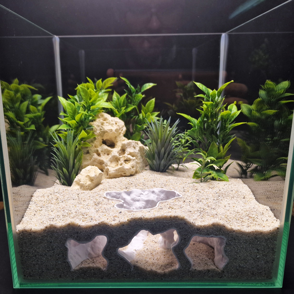 Catacomb Hollow aquarium habitat view 5