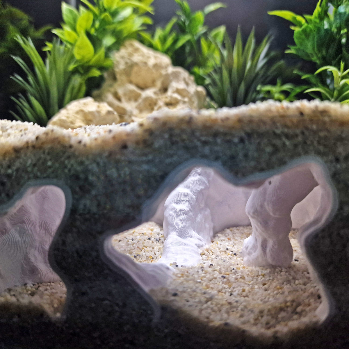 Catacomb Hollow aquarium habitat view 6