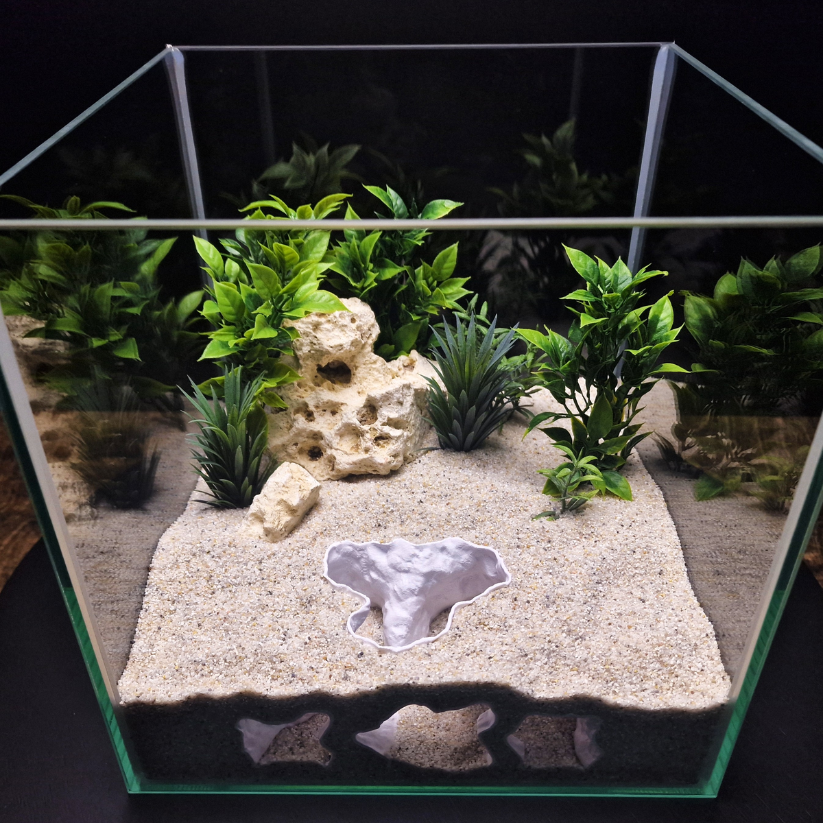 Catacomb Hollow aquarium habitat view 7