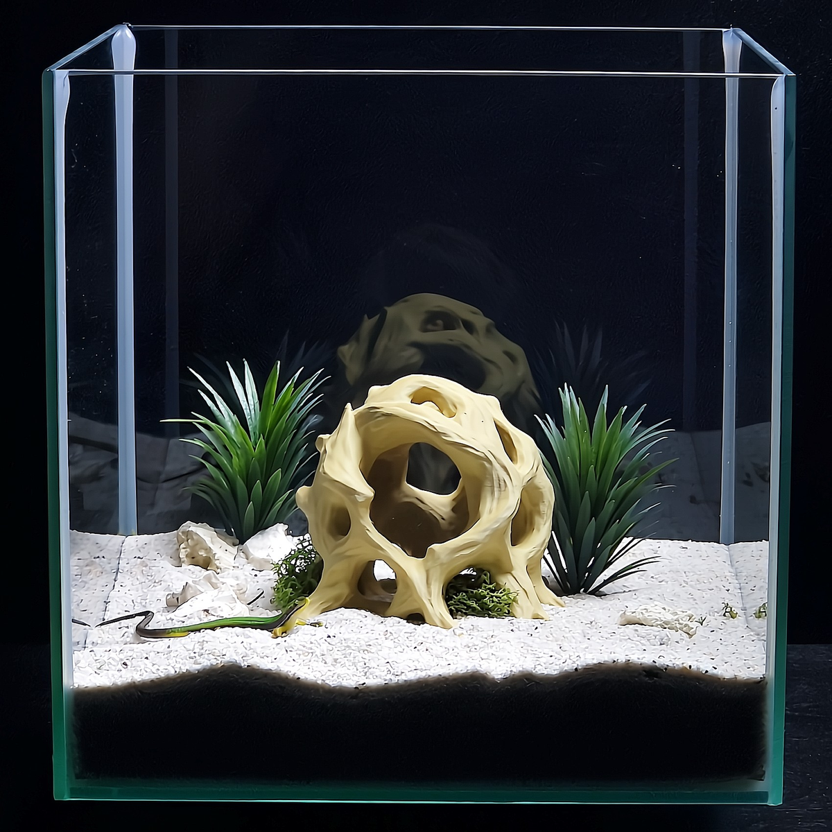 Cave 11 aquarium habitat view 7