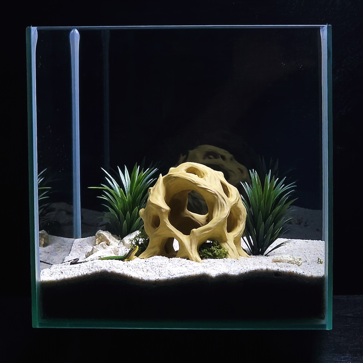 Cave 11 aquarium habitat view 9