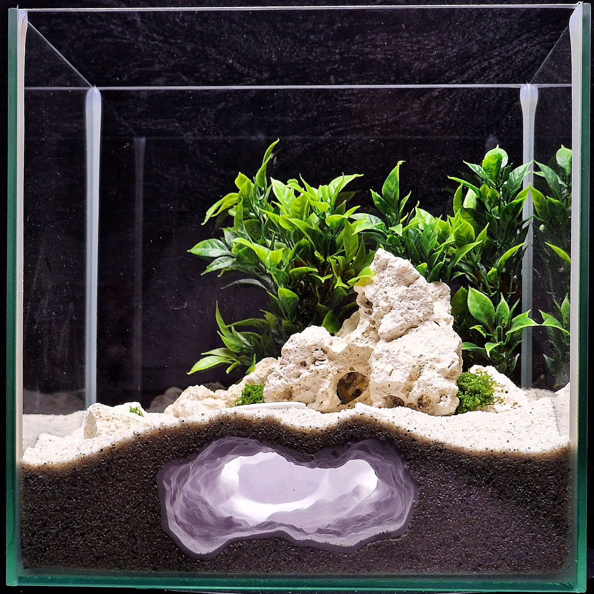 Cave 12 aquarium habitat view 7