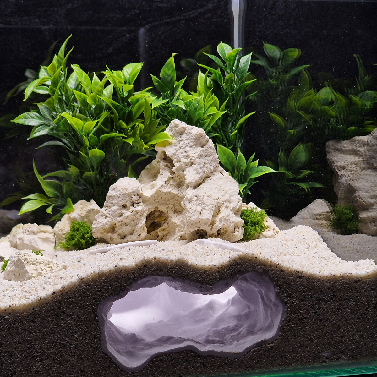 Cave 12 aquarium habitat view 8