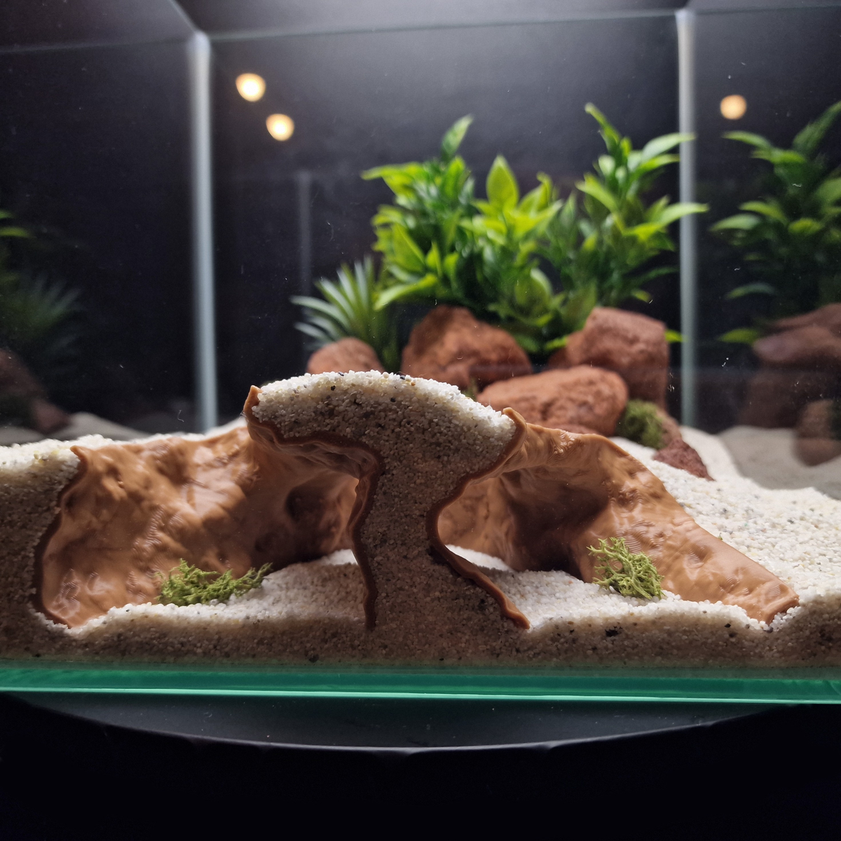 Cave 13 aquarium habitat view 4