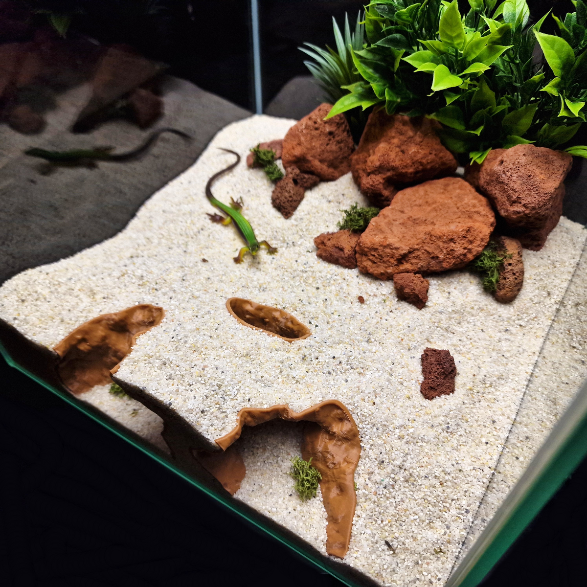 Cave 13 aquarium habitat view 6