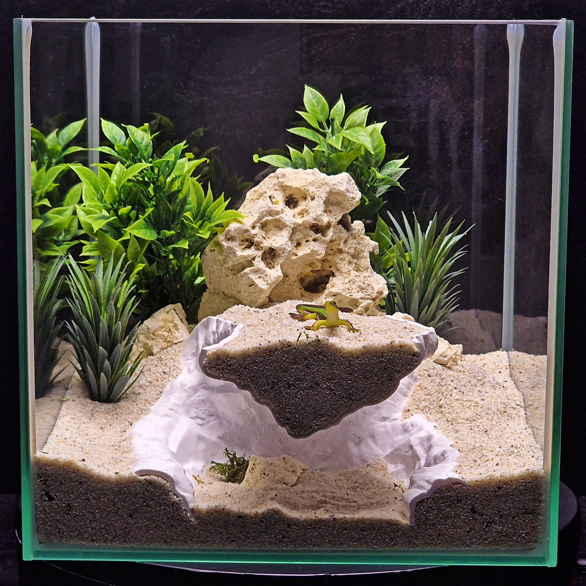 Cave 14 aquarium habitat view 2
