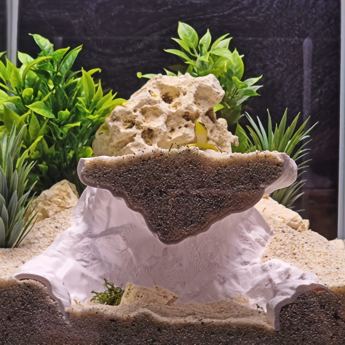 Cave 14 aquarium habitat view 4