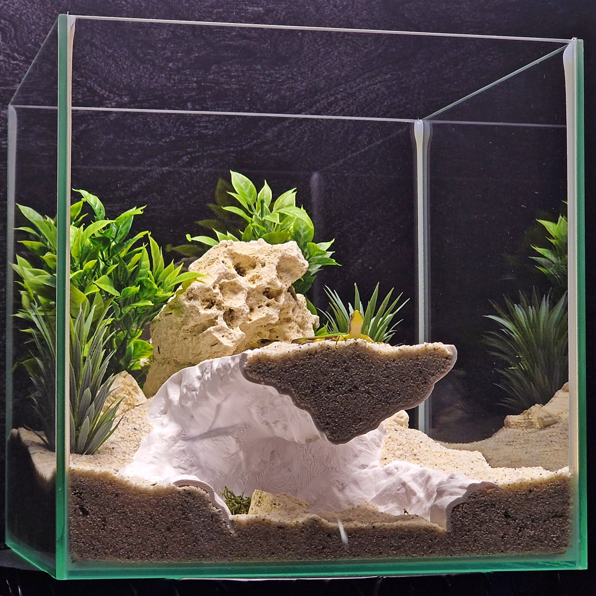 Cave 14 aquarium habitat view 5