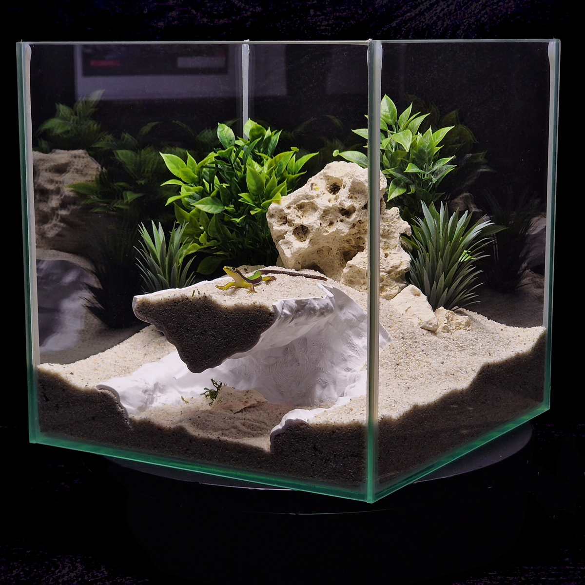 Cave 14 aquarium habitat view 6