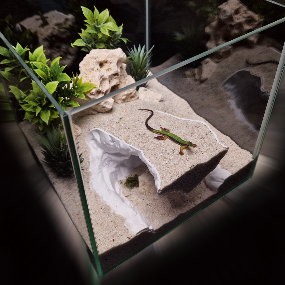 Cave 14 aquarium habitat view 8