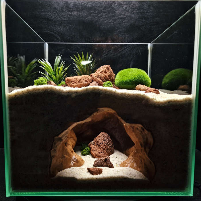 Cave 15 aquarium habitat view 2