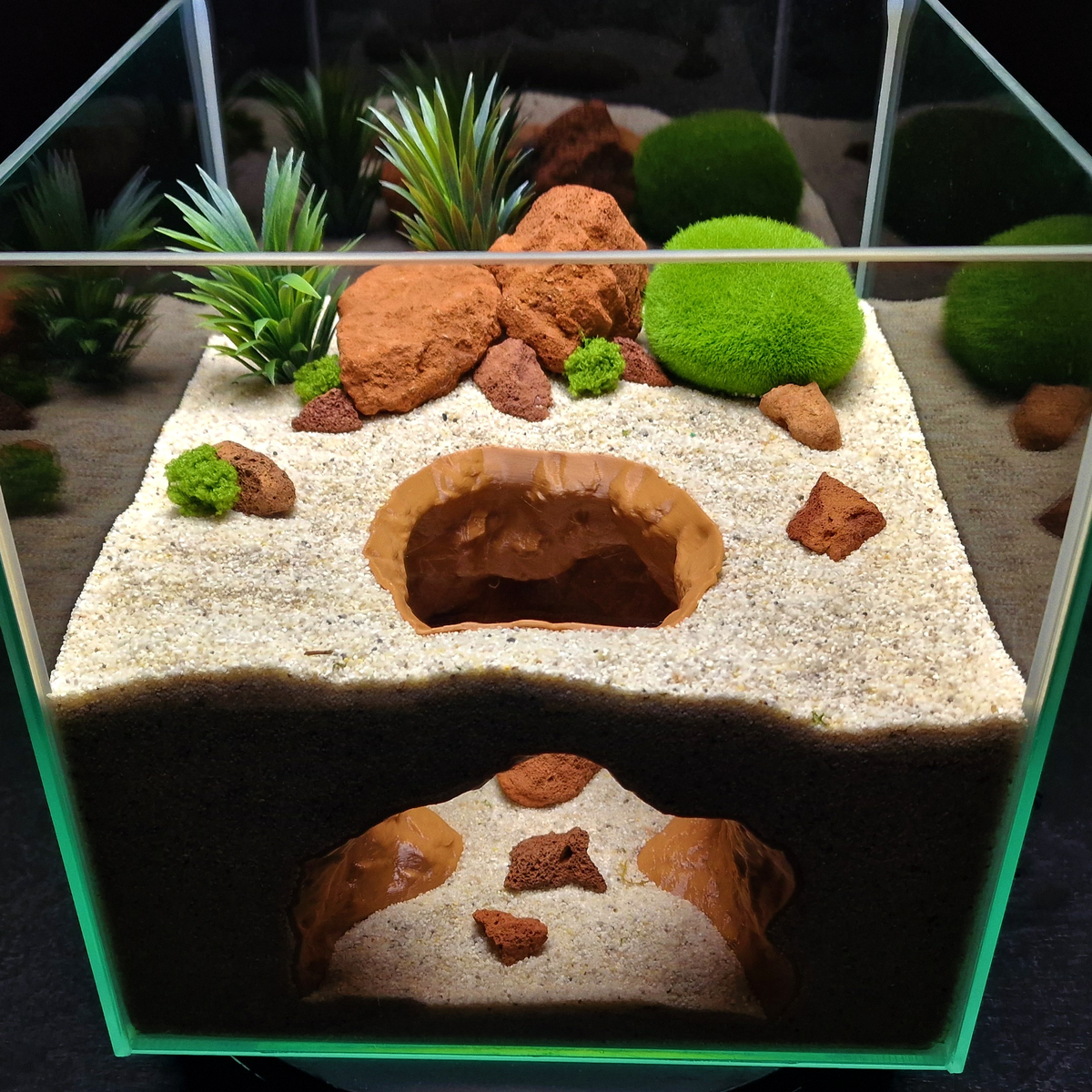 Cave 15 aquarium habitat view 5