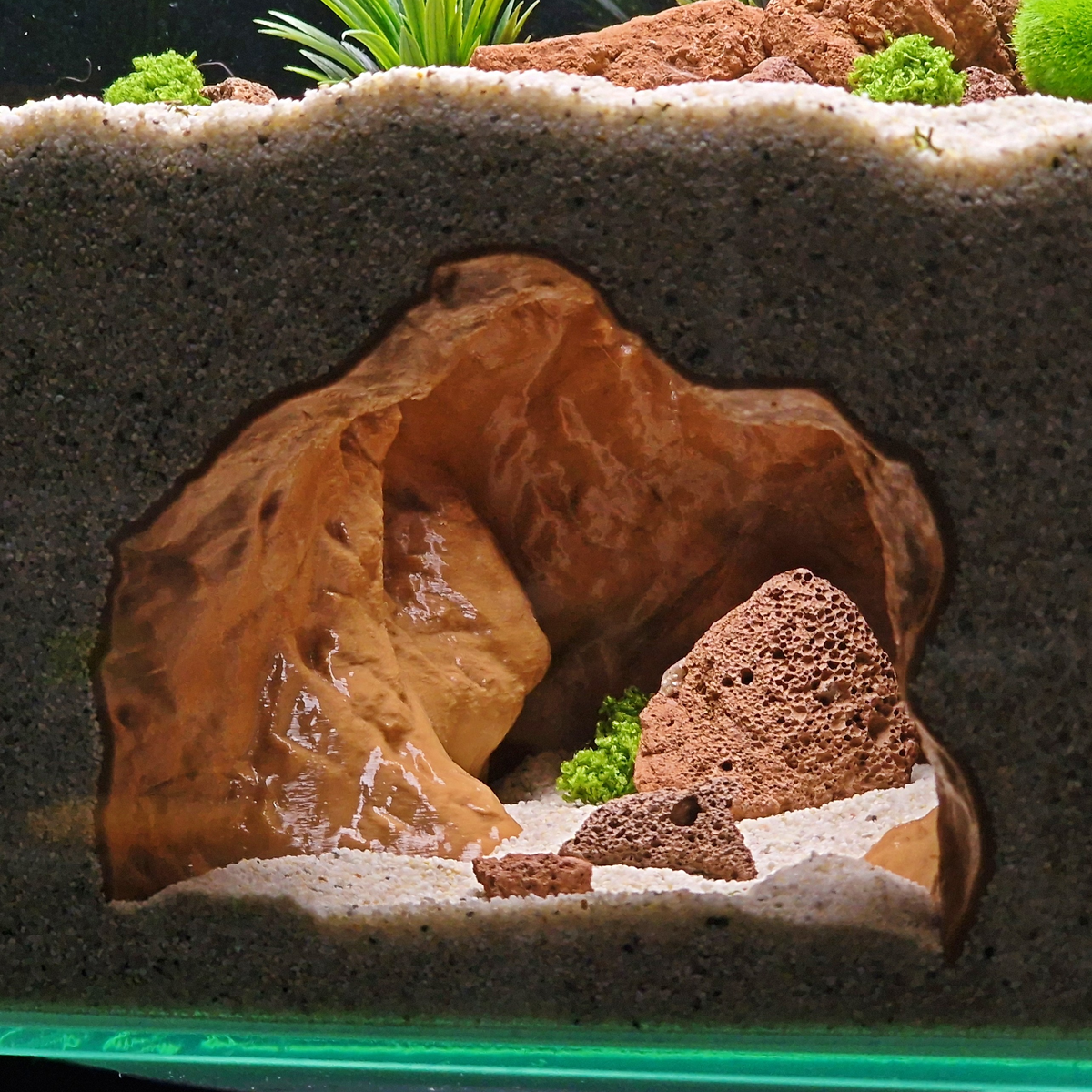 Cave 15 aquarium habitat view 6