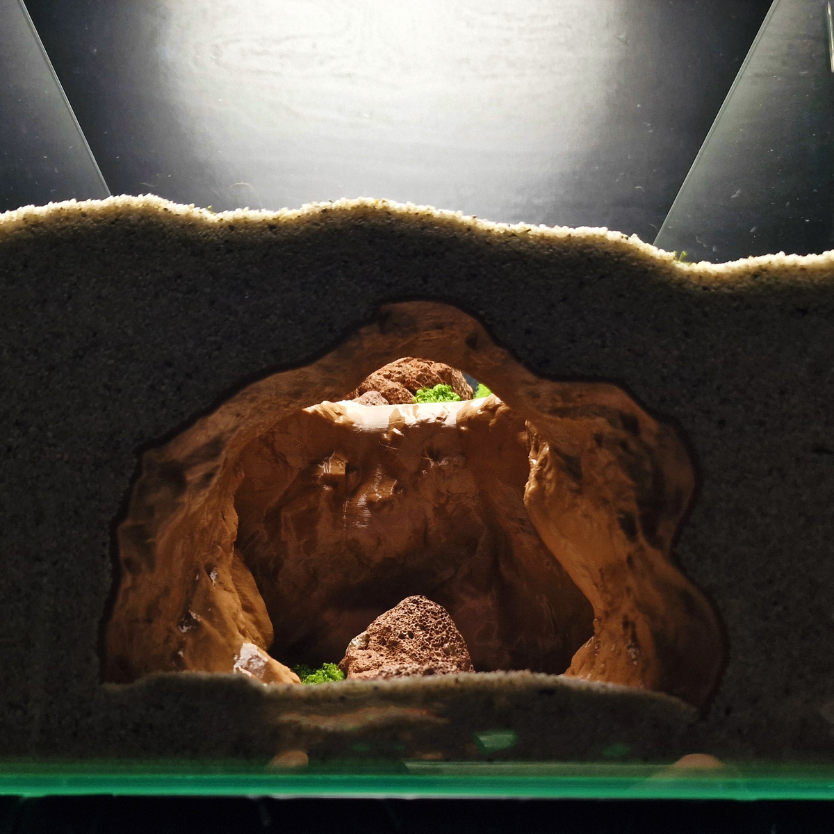 Cave 15 aquarium habitat view 7
