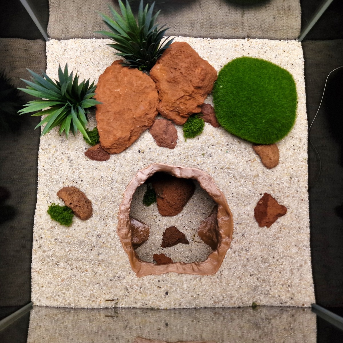 Cave 15 aquarium habitat view 9