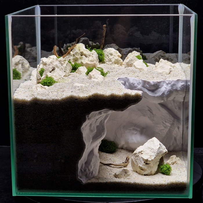 Cave 16 aquarium habitat view 6