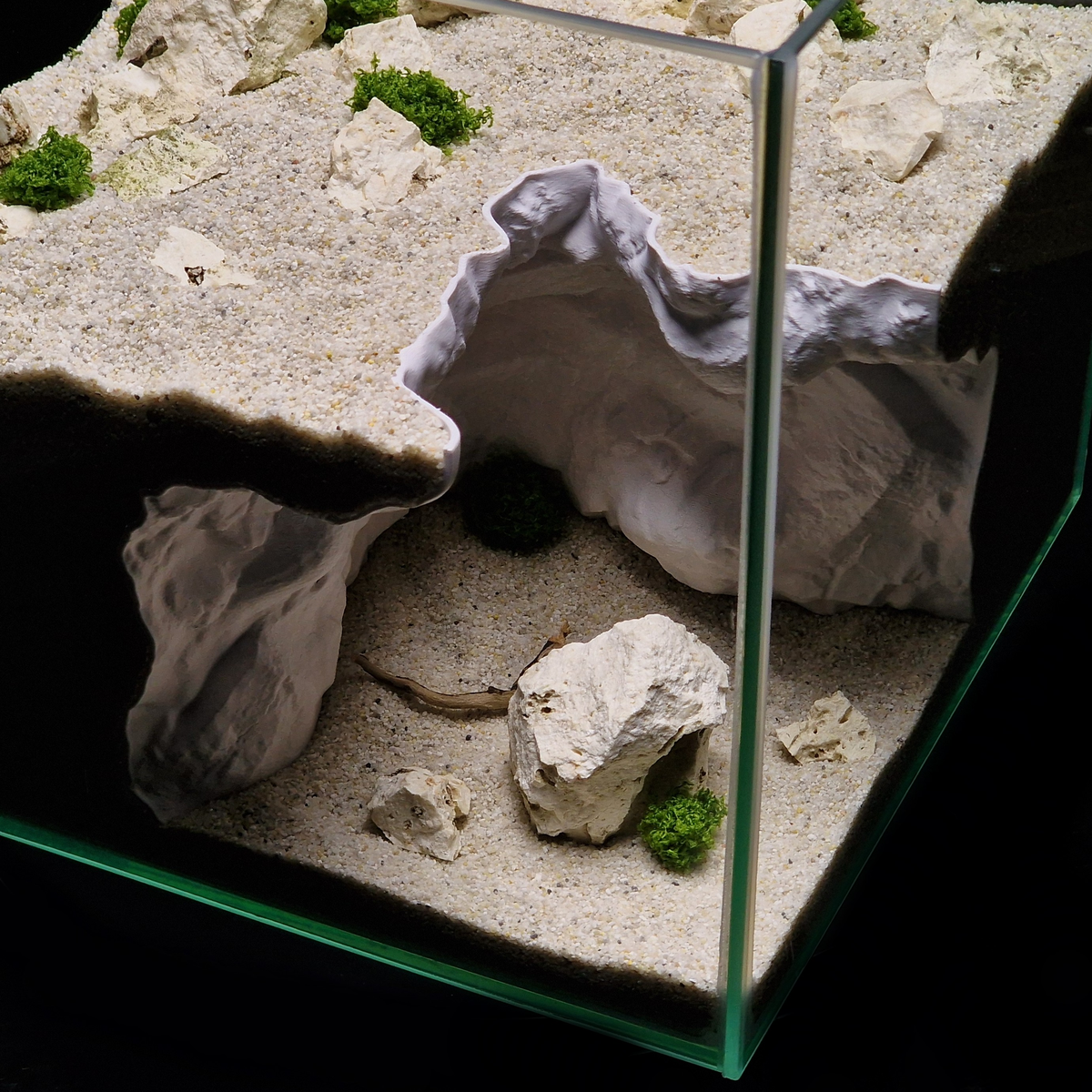 Cave 16 aquarium habitat view 9