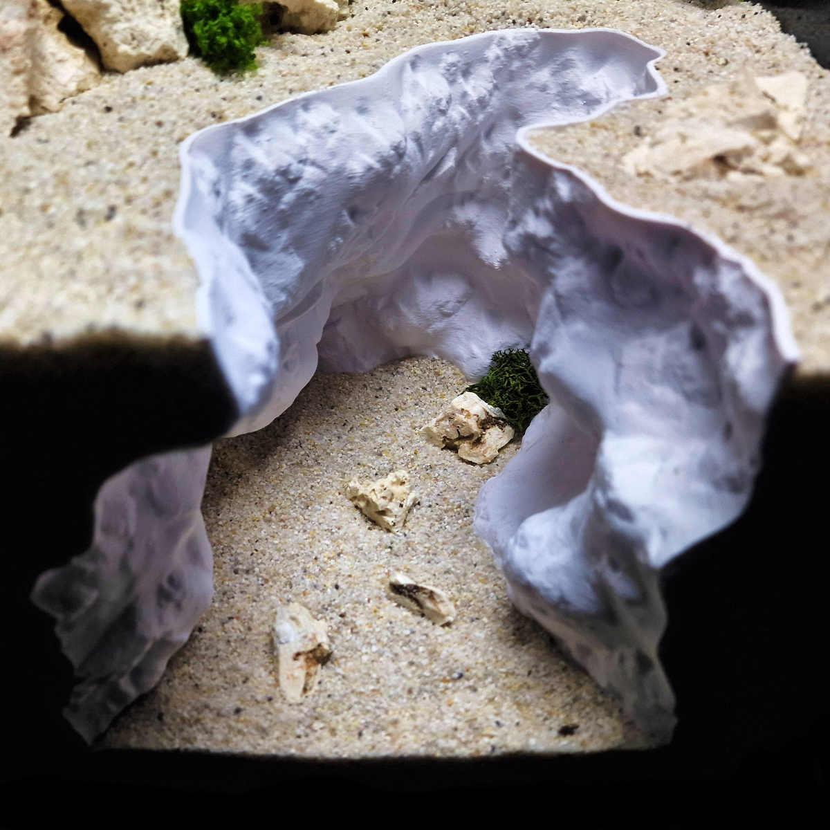 Cave 18 aquarium habitat view 3
