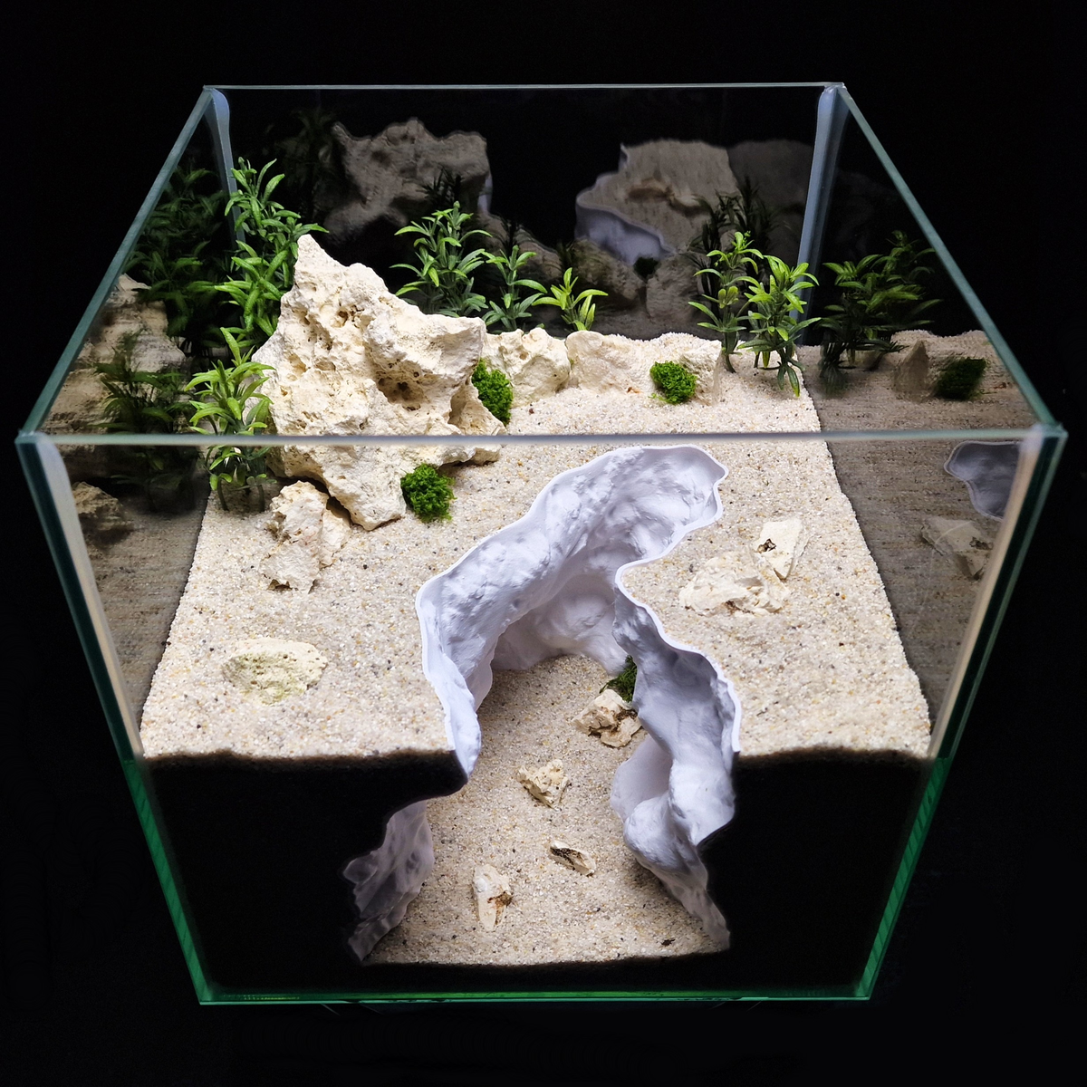 Cave 18 aquarium habitat view 6
