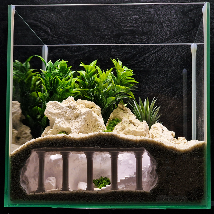 Cave 19 aquarium habitat view 4