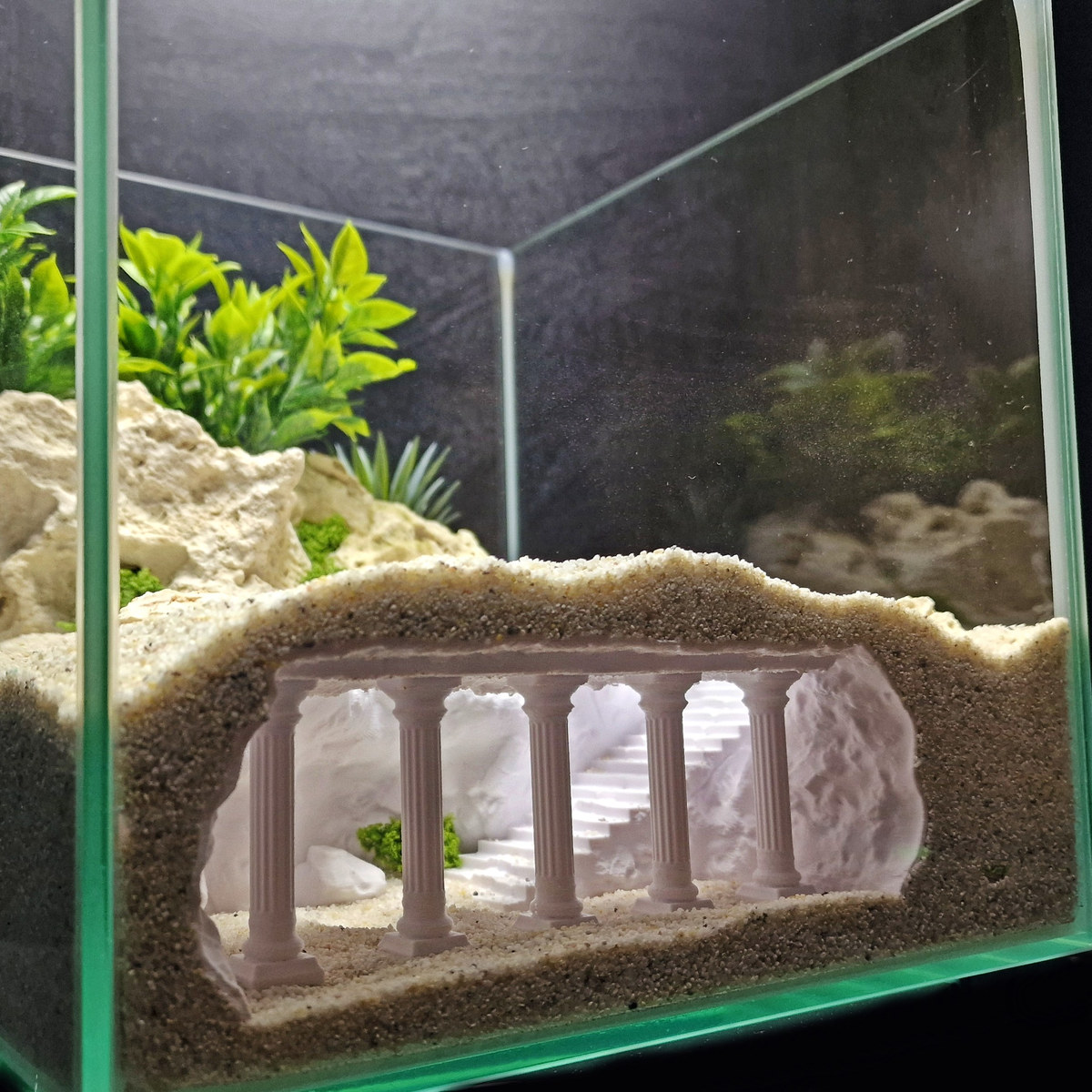 Cave 19 aquarium habitat view 8